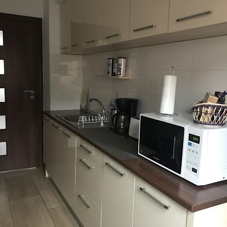 Joy Apartment Timisoara Bagian luar foto