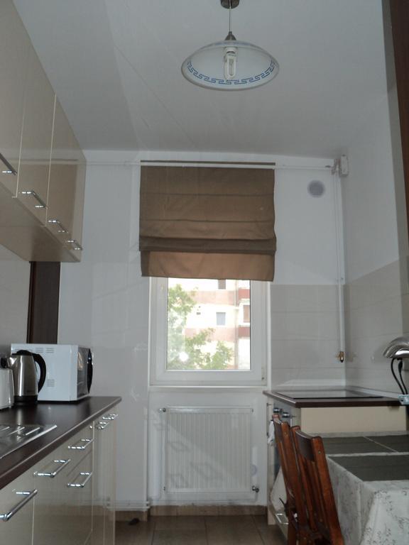 Joy Apartment Timisoara Bagian luar foto