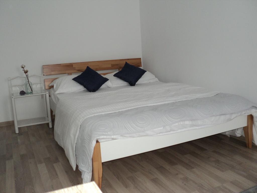 Joy Apartment Timisoara Bagian luar foto