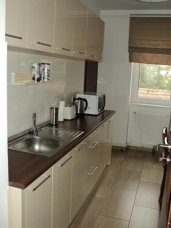 Joy Apartment Timisoara Bagian luar foto