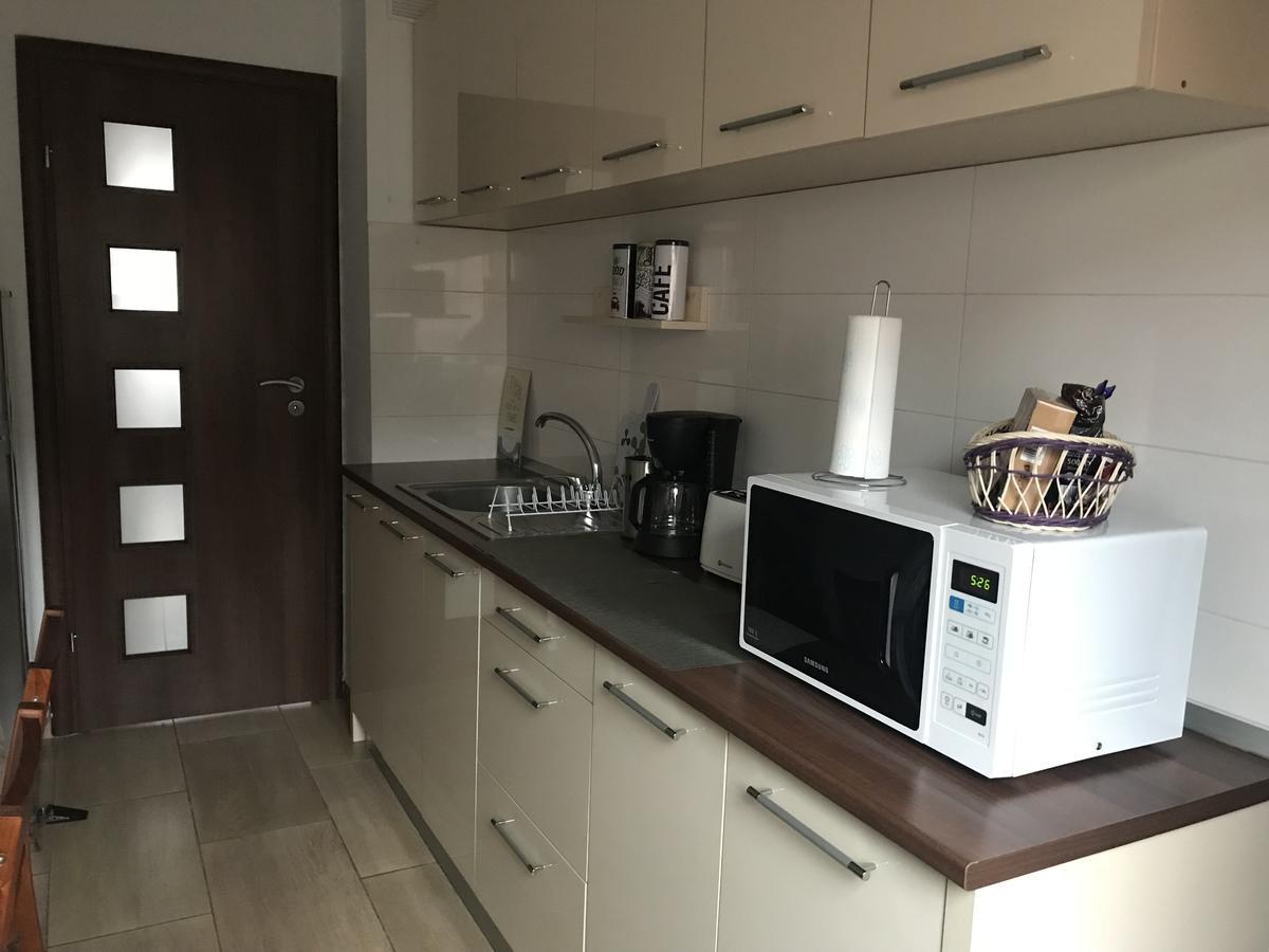 Joy Apartment Timisoara Bagian luar foto