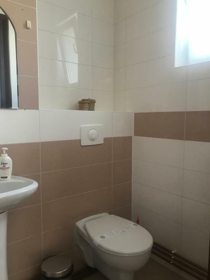 Joy Apartment Timisoara Bagian luar foto